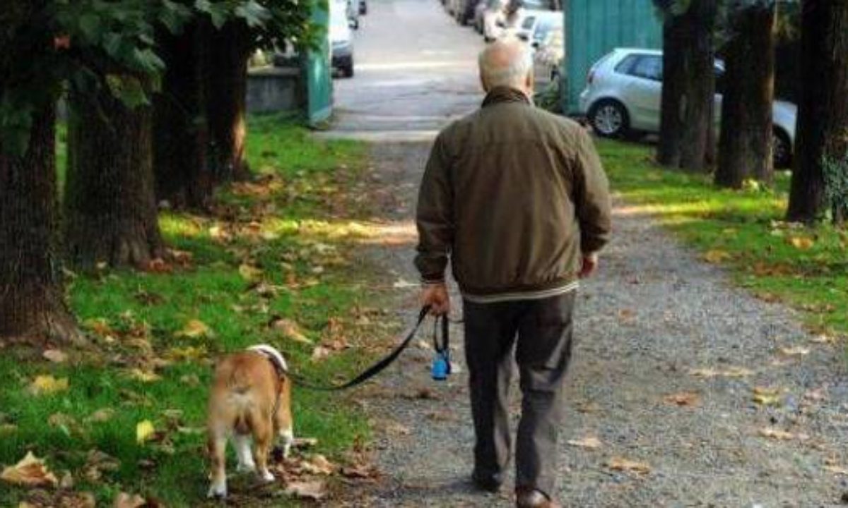 Da Aidaa Italambiente Milano Come Comportarsi Col Cane In Tempo Di Coprifuoco In Zona Rossa Arancione E Verde Alessandria Oggi